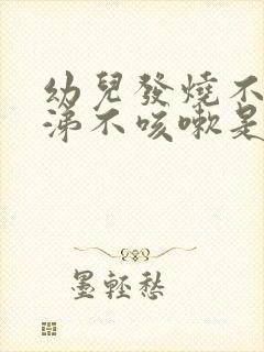 幼儿发烧不流鼻涕不咳嗽是怎么回事封面