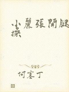 小丽张开腿让我操