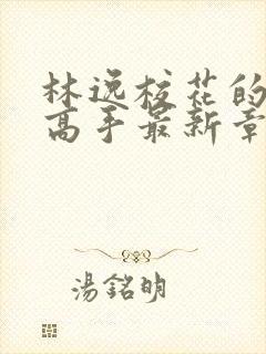 林逸校花的贴身高手最新章节8627