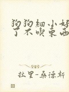 狗狗细小好几天了不吃东西怎么办封面