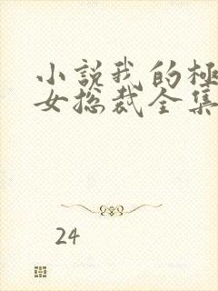 小说我的极品美女总裁全集