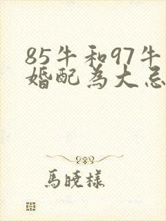85牛和97牛婚配为大忌
