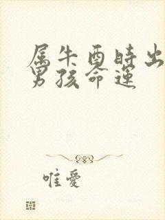 属牛酉时出生的男孩命运