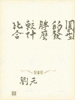 比较胖的圆脸适合什么发型