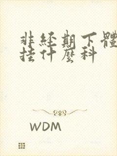 非经期下体出血挂什么科封面