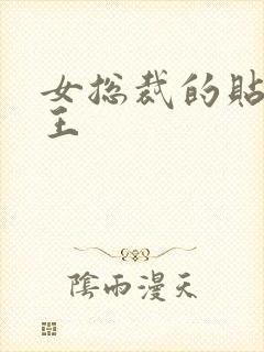 女总裁的贴身战王