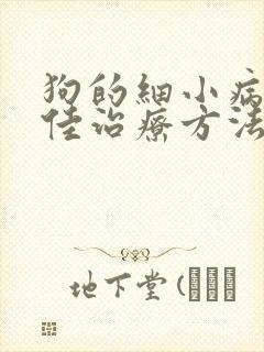 狗的细小病毒最佳治疗方法封面