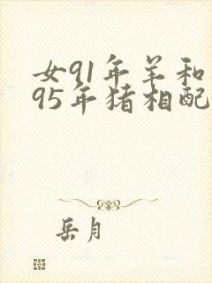 女91年羊和男95年猪相配吗