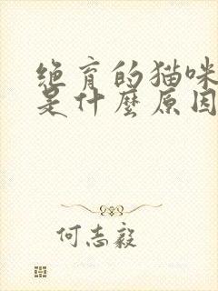 绝育的猫咪乱尿是什么原因