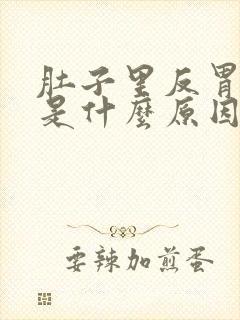 肚子里反胃想吐是什么原因