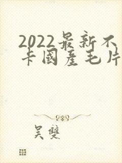 2022最新不卡国产毛片
