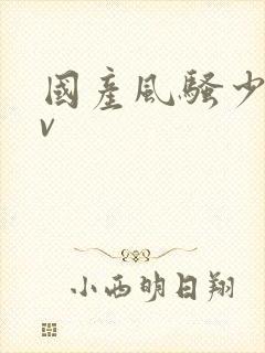 国产风骚少妇av