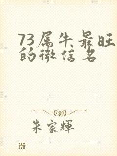 73属牛最旺财的微信名