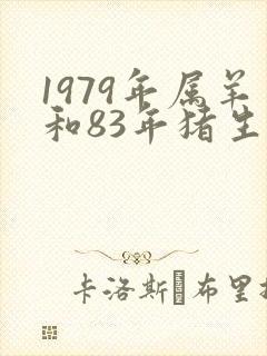 1979年属羊和83年猪生肖合适吗