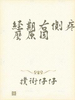 经期右侧疼是什么原因封面