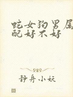 蛇女狗男属相婚配好不好