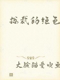 总裁的绝色宠妻封面