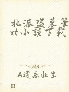 北派盗墓笔记txt小说下载