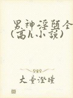 男神淫堕全纪实(高h小说)