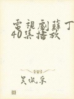 电视剧薛丁山第40集播放