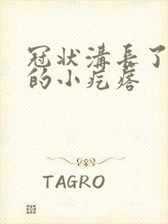 冠状沟长了白色的小疙瘩封面