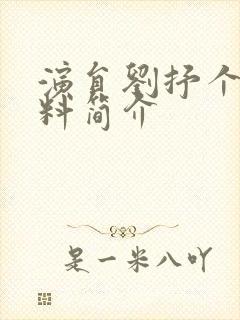 演员刘抒个人资料简介