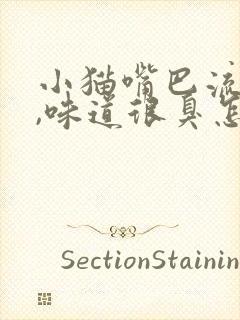 小猫嘴巴流口水,味道很臭怎么回事