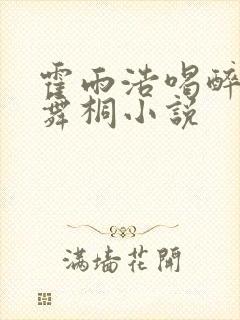 霍雨浩喝醉撩唐舞桐小说