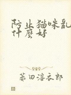 防止猫咪乱尿用什么好