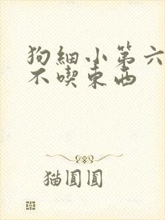 狗细小第六天还不吃东西