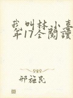 我叫林小喜,今年17全阅读全文txt