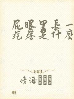 屁眼里长一个肉疙瘩是什么