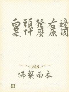 白头发右边最多是什么原因