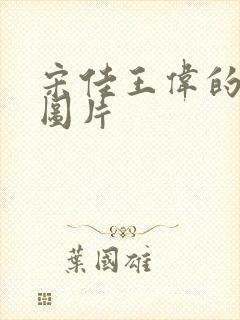 宋佳王伟的合照图片