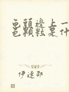 龟头边上一圈白色颗粒是什么