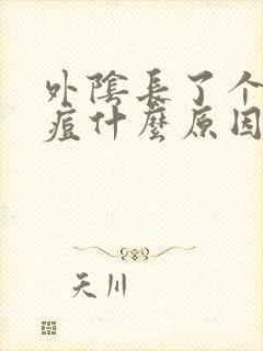 外阴长了个硬痘痘什么原因