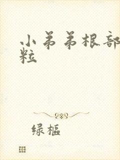 小弟弟根部小肉粒封面