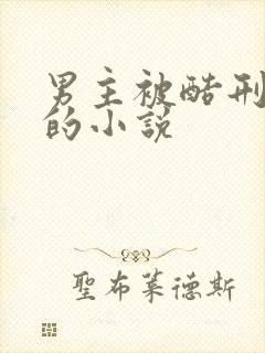男主被酷刑调教的小说
