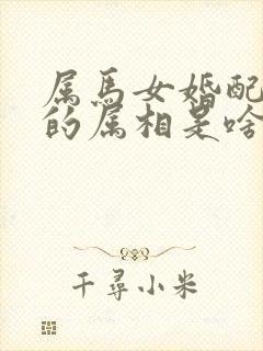 属马女婚配最佳的属相是啥生肖