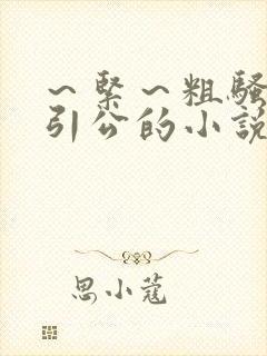 ～紧～粗骚媳勾引公的小说