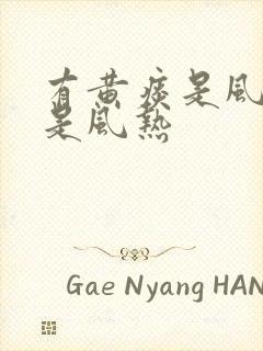 有黄痰是风寒还是风热