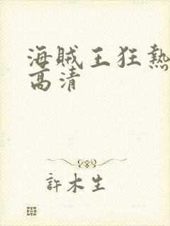 海贼王狂热行动高清封面