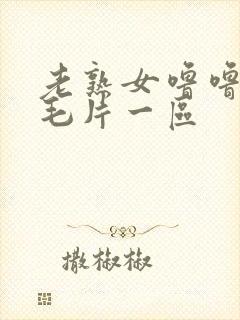 老熟女噜噜av毛片一区