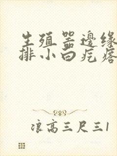 生殖器边缘出一排小白疙瘩