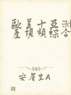 欧美十亚洲十国产视频综合