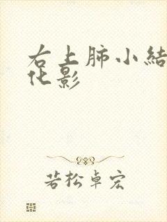 右上肺小结节钙化影