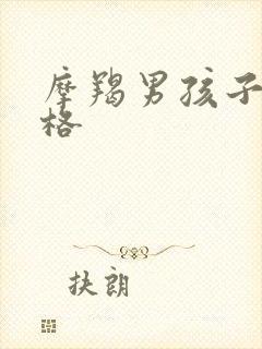 摩羯男孩子的性格