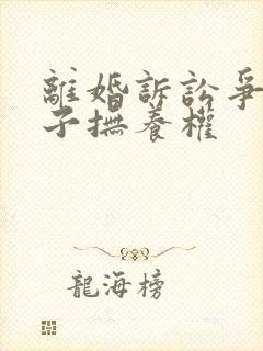 离婚诉讼争取孩子抚养权