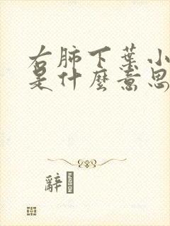 右肺下叶小结节是什么意思严重吗