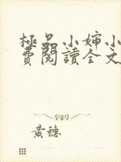 极品小婶小说免费阅读全文封面